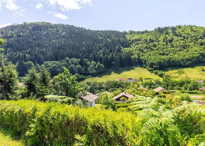 L奥尔松度假屋 *